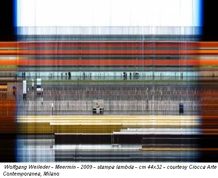 Wolfgang Weileder - Meermin - 2009 - stampa lambda - cm 44x32 - courtesy Ciocca Arte Contemporanea, Milano