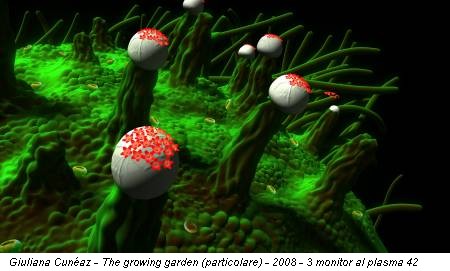 Giuliana Cunéaz - The growing garden (particolare) - 2008 - 3 monitor al plasma 42