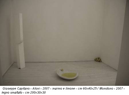 Giuseppe Capitano - Aloni - 2007 - marmo e limone - cm 60x40x25 / Monotono - 2007 - legno smaltato - cm 200x30x30