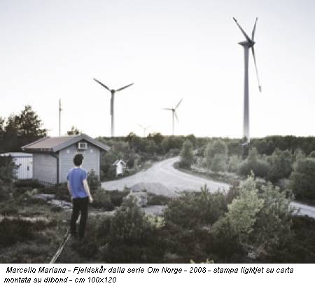 Marcello Mariana - Fjeldskår dalla serie Om Norge - 2008 - stampa lightjet su carta montata su dibond - cm 100x120