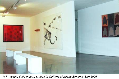 1+1 - veduta della mostra presso la Galleria Marilena Bonomo, Bari 2009