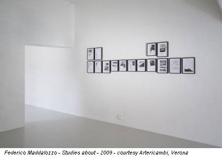 Federico Maddalozzo - Studies about - 2009 - courtesy Artericambi, Verona