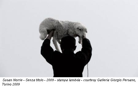 Susan Norrie - Senza titolo - 2009 - stampa lambda - courtesy Galleria Giorgio Persano, Torino 2009