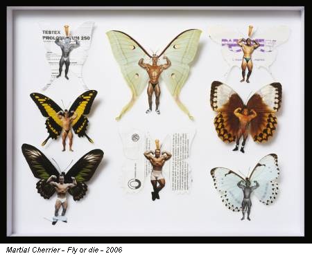 Martial Cherrier - Fly or die - 2006