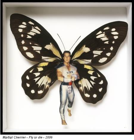 Martial Cherrier - Fly or die - 2006