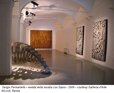 Sergio Fermariello - veduta della mostra con Sauro - 2009 - courtesy Galleria d’Arte Niccoli, Parma
