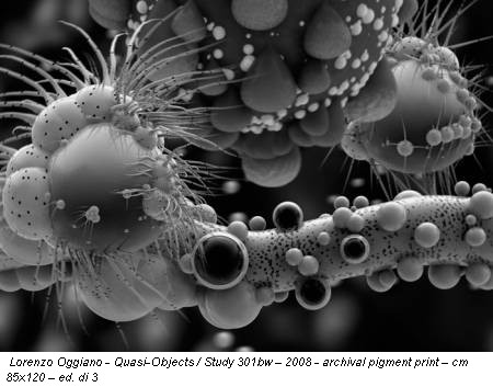 Lorenzo Oggiano - Quasi-Objects / Study 301bw – 2008 - archival pigment print – cm 85x120 – ed. di 3