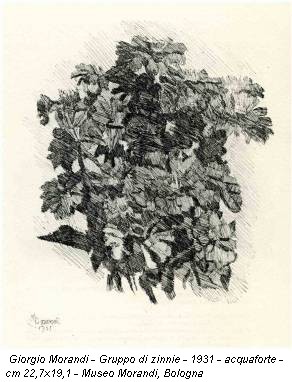Giorgio Morandi - Gruppo di zinnie - 1931 - acquaforte - cm 22,7x19,1 - Museo Morandi, Bologna