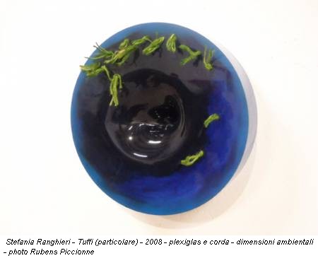 Stefania Ranghieri - Tuffi (particolare) - 2008 - plexiglas e corda - dimensioni ambientali - photo Rubens Piccionne