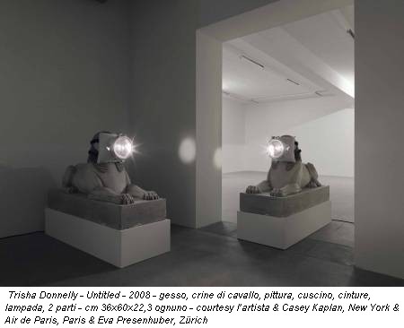 Trisha Donnelly - Untitled - 2008 - gesso, crine di cavallo, pittura, cuscino, cinture, lampada, 2 parti - cm 36x60x22,3 ognuno - courtesy l’artista & Casey Kaplan, New York & Air de Paris, Paris & Eva Presenhuber, Zürich
