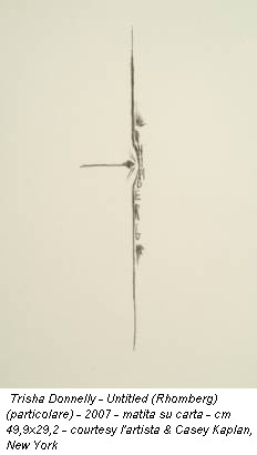 Trisha Donnelly - Untitled (Rhomberg) (particolare) - 2007 - matita su carta - cm 49,9x29,2 - courtesy l'artista & Casey Kaplan, New York