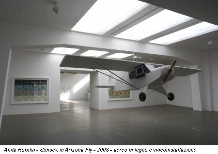 Anila Rubiku - Sunsex in Arizona Fly - 2008 - aereo in legno e videoinstallazione