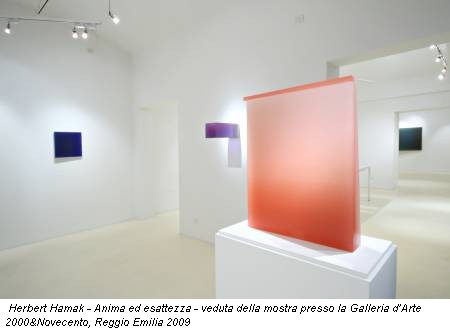 Herbert Hamak - Anima ed esattezza - veduta della mostra presso la Galleria d’Arte 2000&Novecento, Reggio Emilia 2009