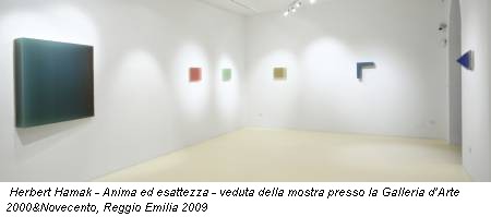 Herbert Hamak - Anima ed esattezza - veduta della mostra presso la Galleria d’Arte 2000&Novecento, Reggio Emilia 2009