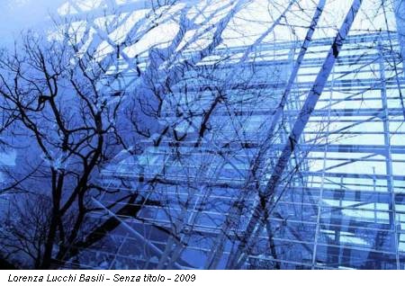 Lorenza Lucchi Basili - Senza titolo - 2009