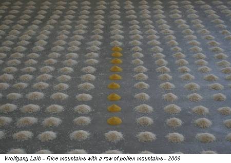 Wolfgang Laib - Rice mountains with a row of pollen mountains - 2009