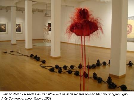 Javier Pérez - Rituales de tránsito - veduta della mostra presso Mimmo Scognamiglio Arte Contemporanea, Milano 2009