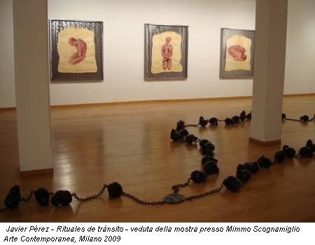 Javier Pérez - Rituales de tránsito - veduta della mostra presso Mimmo Scognamiglio Arte Contemporanea, Milano 2009