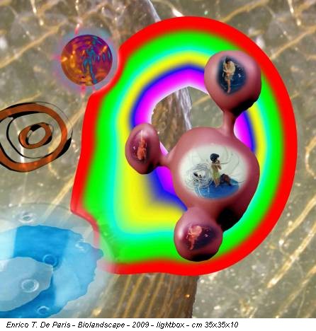 Enrico T. De Paris - Biolandscape - 2009 - lightbox - cm 35x35x10