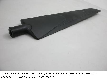 James Beckett - Blade - 2009 - pala per raffreddamento, vernice - cm 250x40x4 - courtesy T293, Napoli - photo Danilo Donzelli