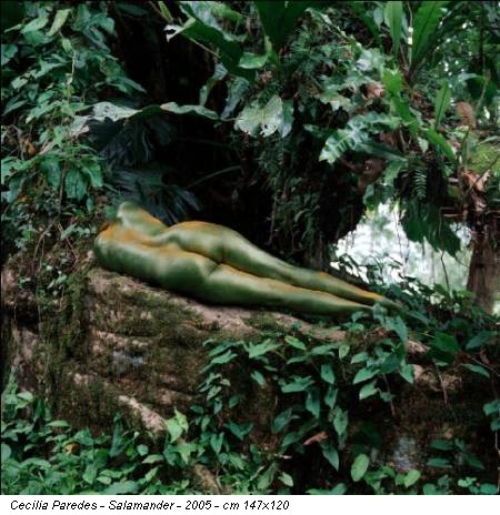 Cecilia Paredes - Salamander - 2005 - cm 147x120