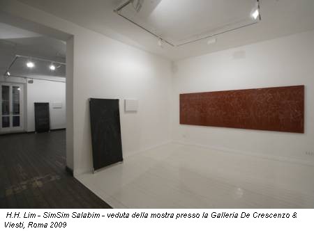 H.H. Lim - SimSim Salabim - veduta della mostra presso la Galleria De Crescenzo & Viesti, Roma 2009