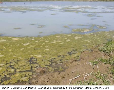 Ralph Gibson & Jill Mathis - Dialogues. Etymology of an emotion - Arca, Vercelli 2009