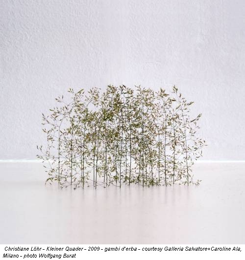 Christiane Löhr - Kleiner Quader - 2009 - gambi d’erba - courtesy Galleria Salvatore+Caroline Ala, Milano - photo Wolfgang Burat