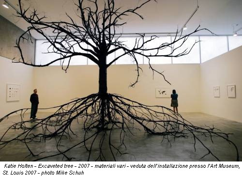 Katie Holten - Excaveted tree - 2007 - materiali vari - veduta dell’installazione presso l’Art Museum, St. Louis 2007 - photo Mike Schuh