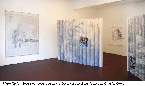 Pietro Ruffo - Grasweg - veduta della mostra presso la Galleria Lorcan O’Neill, Roma