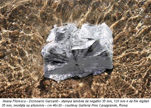 Ileana Florescu - Dizionario Garzanti - stampa lambda da negativi 35 mm, 120 mm e da file digitali 35 mm, montata su alluminio - cm 46x30 - courtesy Galleria Pino Casagrande, Roma