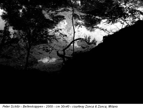 Peter Schlör - Bellenkrappen - 2008 - cm 30x40 - courtesy Zonca & Zonca, Milano