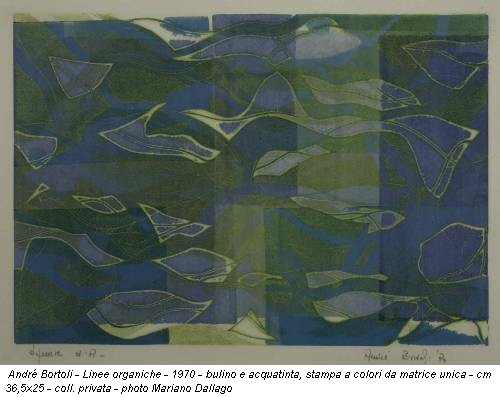 André Bortoli - Linee organiche - 1970 - bulino e acquatinta, stampa a colori da matrice unica - cm 36,5x25 - coll. privata - photo Mariano Dallago