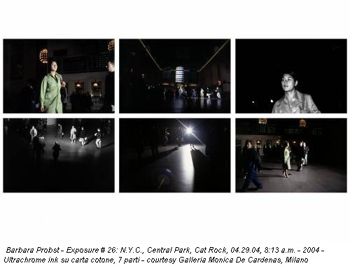 Barbara Probst - Exposure # 26: N.Y.C., Central Park, Cat Rock, 04.29.04, 8:13 a.m. - 2004 - Ultrachrome ink su carta cotone, 7 parti - courtesy Galleria Monica De Cardenas, Milano