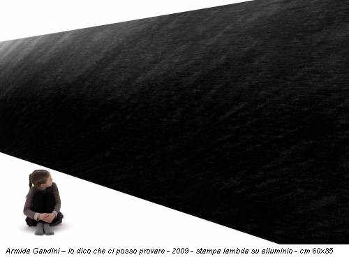 Armida Gandini – Io dico che ci posso provare - 2009 - stampa lambda su alluminio - cm 60x85