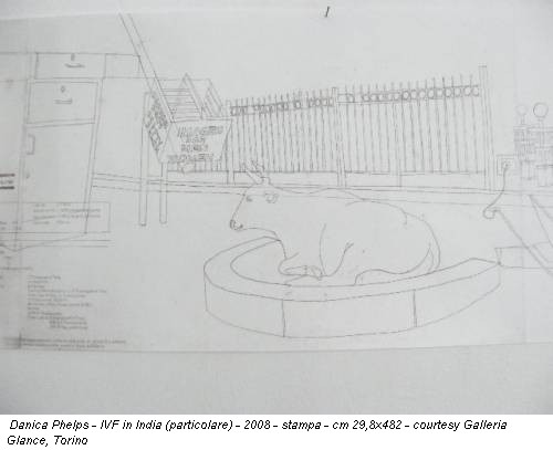 Danica Phelps - IVF in India (particolare) - 2008 - stampa - cm 29,8x482 - courtesy Galleria Glance, Torino