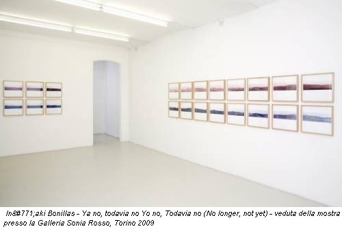 Iñaki Bonillas - Ya no, todavia no Yo no, Todavia no (No longer, not yet) - veduta della mostra presso la Galleria Sonia Rosso, Torino 2009