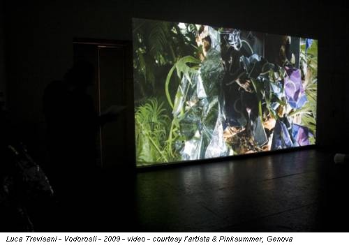 Luca Trevisani - Vodorosli - 2009 - video - courtesy l’artista & Pinksummer, Genova