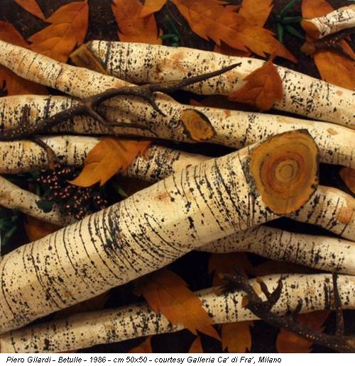 Piero Gilardi - Betulle - 1986 - cm 50x50 - courtesy Galleria Ca’ di Fra’, Milano