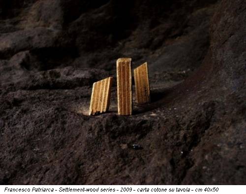 Francesco Patriarca - Settlement-wood series - 2009 - carta cotone su tavola - cm 40x50
