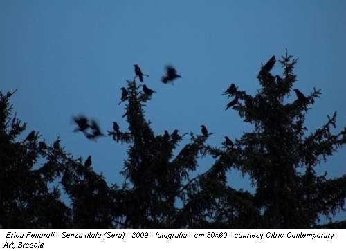 Erica Fenaroli - Senza titolo (Sera) - 2009 - fotografia - cm 80x60 - courtesy Citric Contemporary Art, Brescia