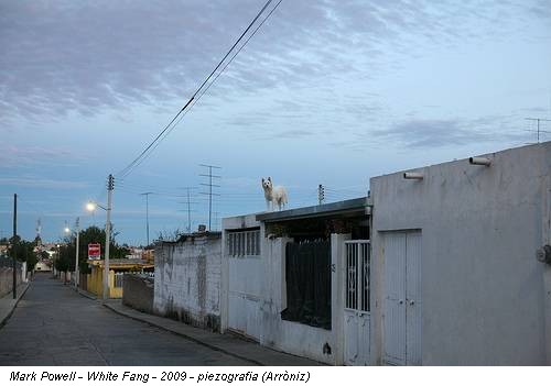 Mark Powell - White Fang - 2009 - piezografia (Arròniz)