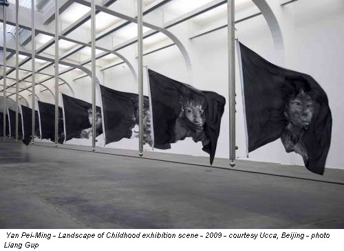 Yan Pei-Ming - Landscape of Childhood exhibition scene - 2009 - courtesy Ucca, Beijing - photo Liang Gup