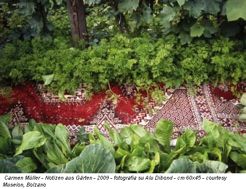 Carmen Müller - Notizen aus Gärten - 2009 - fotografia su Alu Dibond - cm 60x45 - courtesy Museion, Bolzano
