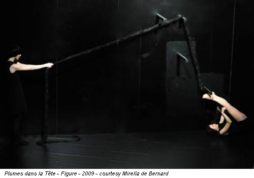 Plumes dans la Tête - Figure - 2009 - courtesy Mirella de Bernard