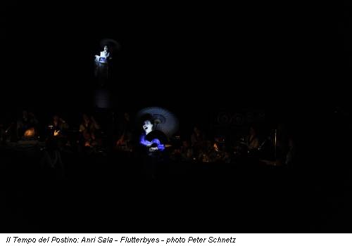 Il Tempo del Postino: Anri Sala - Flutterbyes - photo Peter Schnetz