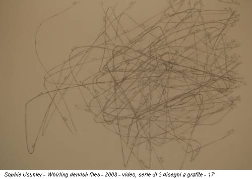Sophie Usunier - Whirling dervish flies - 2008 - video, serie di 3 disegni a grafite - 17’