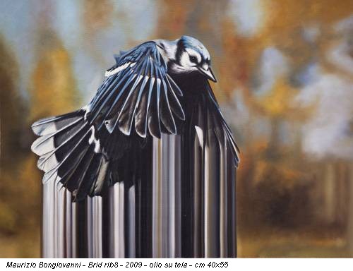 Maurizio Bongiovanni - Brid rib8 - 2009 - olio su tela - cm 40x55