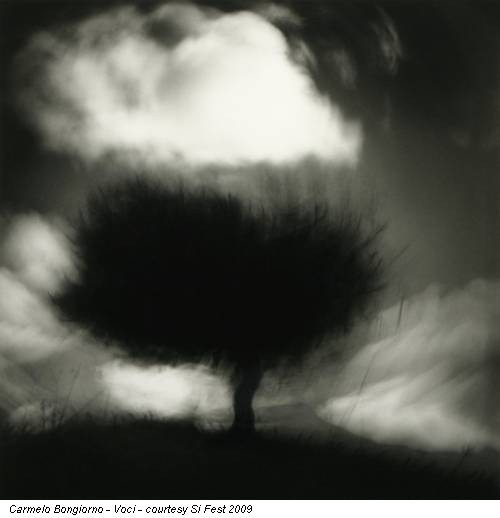 Carmelo Bongiorno - Voci - courtesy Si Fest 2009