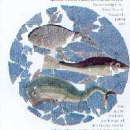 Dal 15.III.2000 al 31.VIII.2000 | Aemilia. La cultura romana in Emilia-Romagna | Bologna, Pinacoteca Nazionale